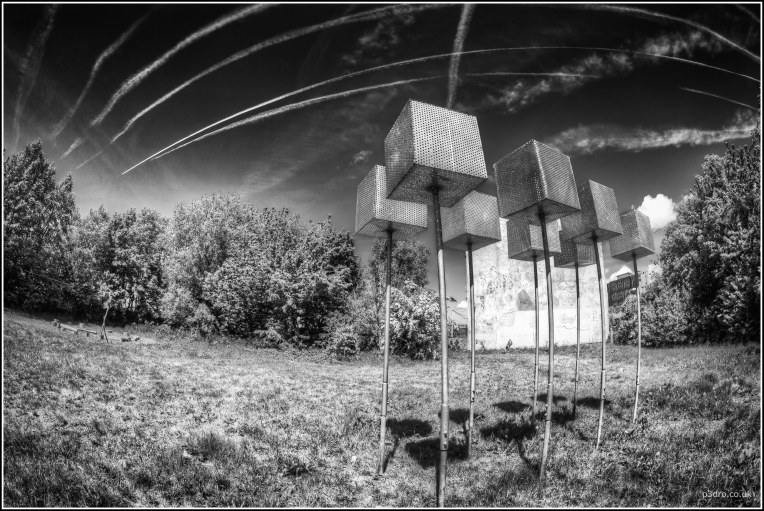 Image rights Peter Goodbody