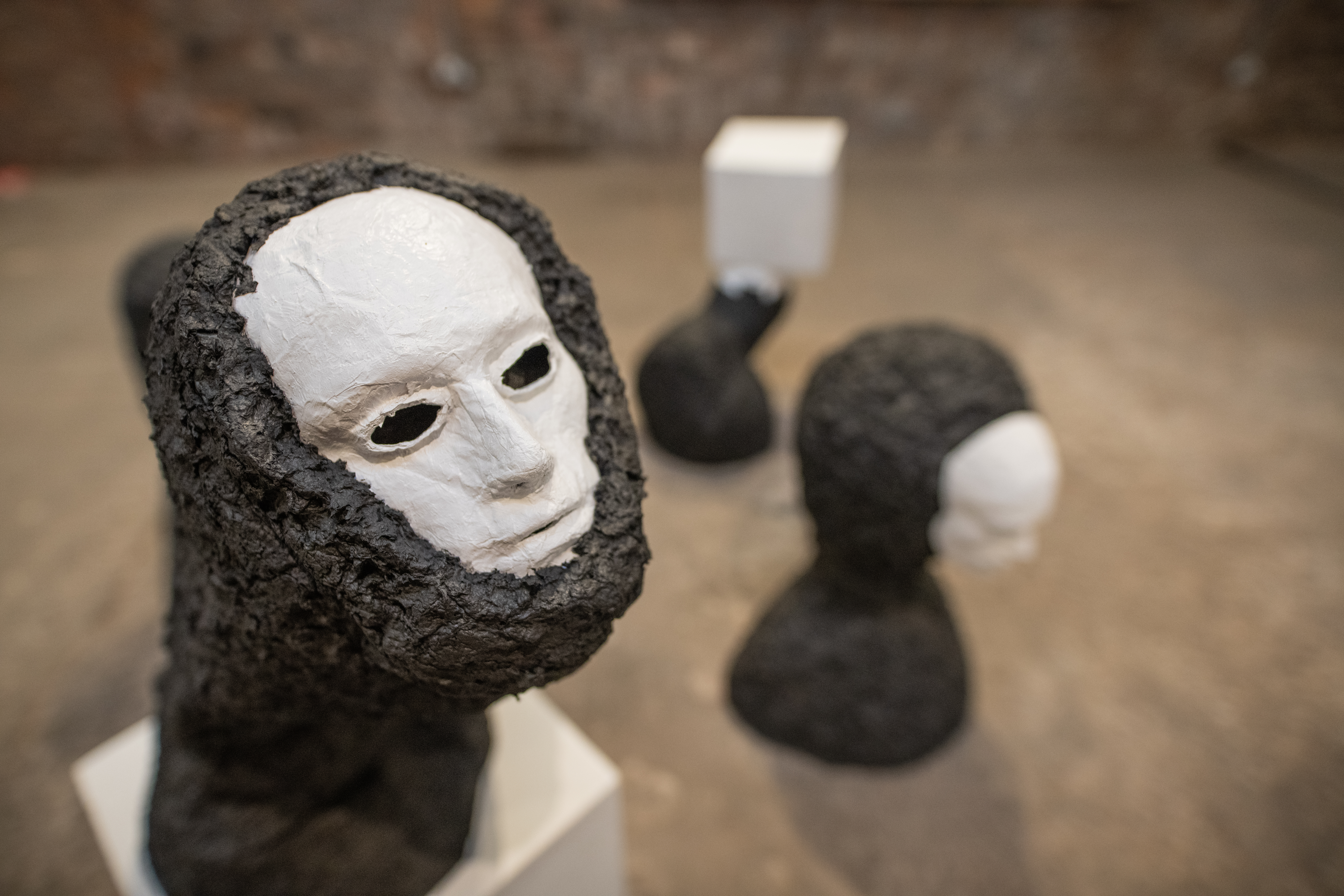 Image rights Tony Knox