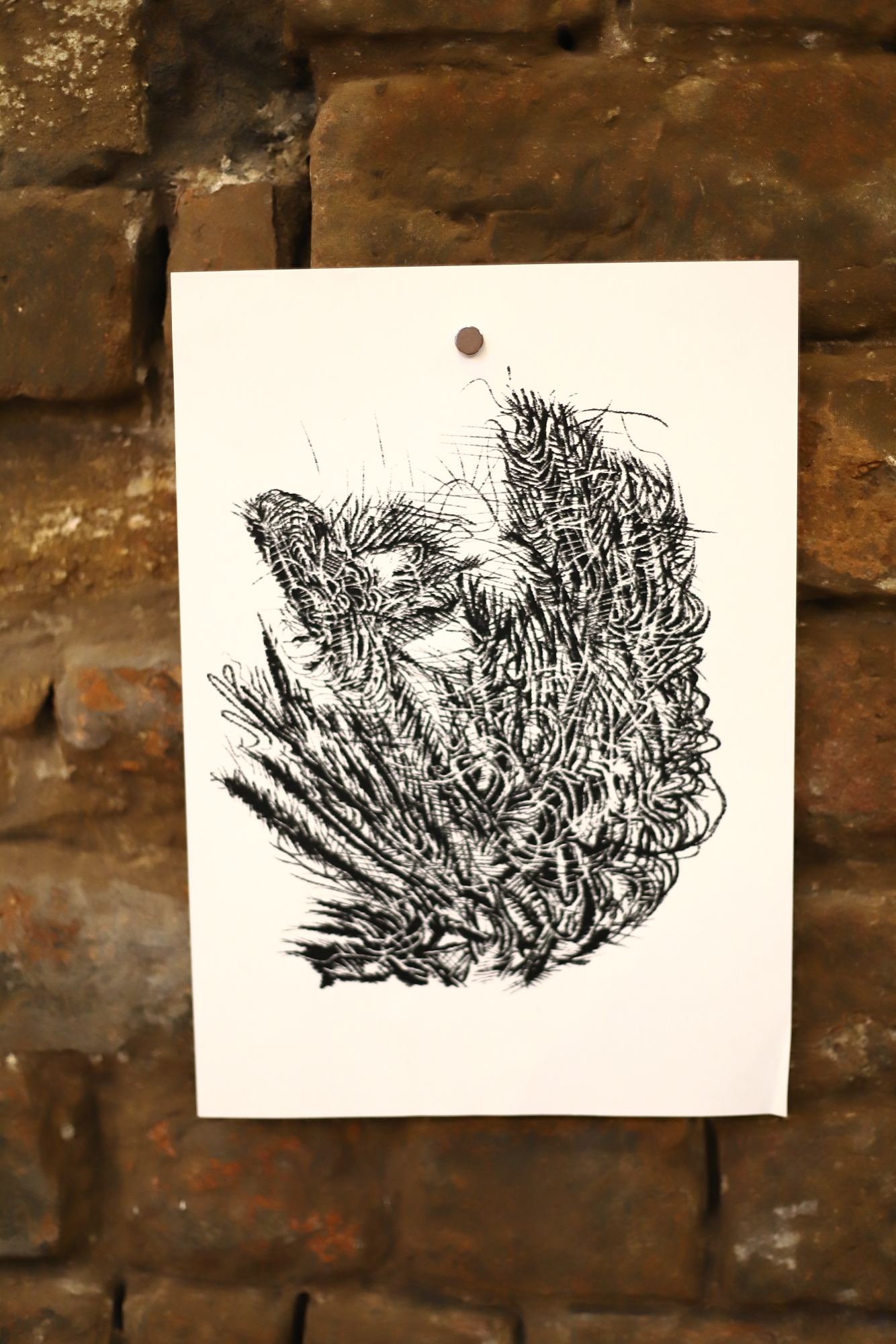 Image rights Robert Flynn